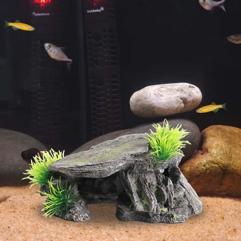 PENGYETHTY Goldfish, Aquarium, Hideaway, Aquarium, Tunnel, Aquarium, Object, Fish, Tropical