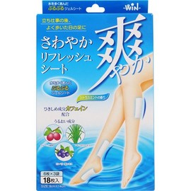 Refresh Refreshing Seat Pack