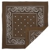 Brown Paisley Bandana - Single Piece 22x22