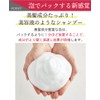 EARTHEART Beauty Serum Shampoo, Pack with Foam, Professional Design, Silk