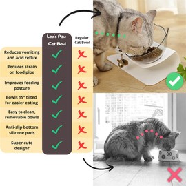 Leo's Paw Anti-Vomiting Orthopedic Cat Bowl Elevated 15° Tilted Cat Food and Water Bowls for Better Digestion Raised Stand with Non-Slip Bottom Detachable Feeding Bowl (Double Black)