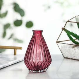 EVEREST GLOBAL Glass Flower Vase for Home Decor Bud Vases for Centerpieces Home Living Room Kitchen Office Wedding Decor(Tight Mouth Red Purple Glass Vase)