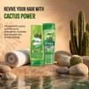 Vatika Naturals Cactus Shampoo & Conditioner Combo – Strengthens Weak