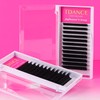TDANCE Easy Fan Lash Extensions 3D Fluffy Rapid Volume Lash