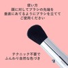 Orbis Face Color Brush, Makeup Brush