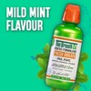 The Breath Co. Mild Mint Oral Rinse, 500 g