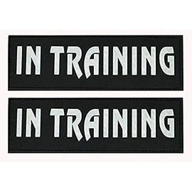 Removable Dog Patches for Vests & Harness - Reflective / 2" x 6" Large White Letter/2 Pack. (in Training, Large(2 x 6"))