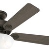 Hunter Fan Company, 44 inch ceiling fan with light, Swanson