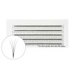 EMEDA Volume Eyelashes D Curling 2 Compartments 8 9 10