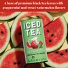 The Republic of Tea Watermelon Mint Black Iced Tea, 40