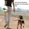 Retractable Lead for Dogs, 5 m Retractable Dog Lead with
