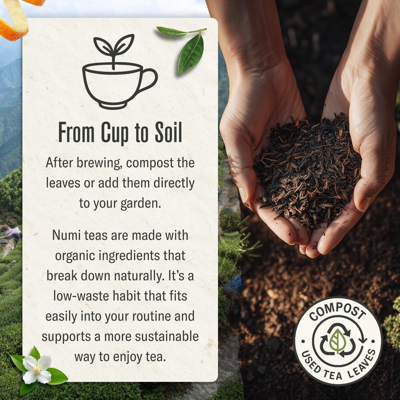 Numi Organic Jasmine Green Tea 16 Ounce Pouch Brews 200