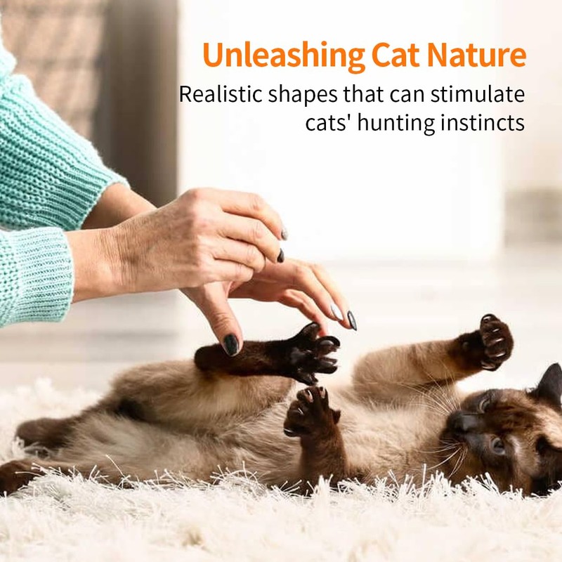 KQOZG Interactive Cat Toy, Cat Fishing Rod with Feathers, Pendant