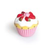 Excelsa Cupcake Short-Term Paths, Plastic, Multi-Colour