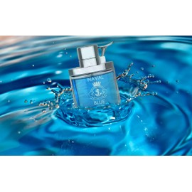 META-BOSEM Naval Blue for Men Cologne Aquatic Fragrance, Eau de Toilette Natural Spray - Fruity Woody Notes - Holiday Gift, 3.4 Fl Oz/100 Ml