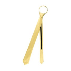 Vesuvio Napoli PreTied SKINNY Men's Neck Tie Solid Color Narrow Zipper Necktie, Gold, 2.5 IN