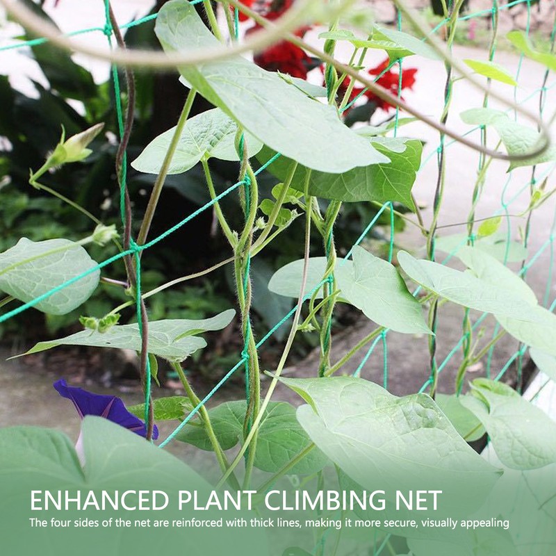 Garden Plant Trellis Netting Green Trellis Netting Polypropylene Plant Support