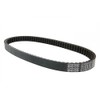 Drive Belt 22.0 X 828 Dayco