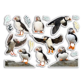 A5 Sticker Sheet Puffin Vinyl Stickers - Birds Wildlife Animals Scrapbooking Travel Decoration Label Friend Girls Boys Aesthetic #80789