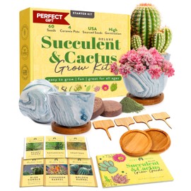 HOME GROWN Bonsai Tree Kit: Unique Christmas Gifts for Men - Bonsai Starter Kit w/ 6 Seed Varieties - Unique Designed Pots - All-in-One Craft Kit for Adults for Gardeners & Plant Lovers