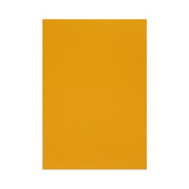 Sonjade Scrapbook Supplies Colored Cardstock Poster Board Crafts Construction Paper, 10 Sheets, 10 x 14.5 Inch, Golden