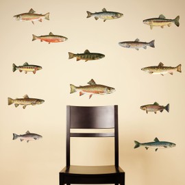 Trout Wall Decals - Set of 13 Fish Stickers