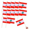 HSQCEZ 12Pcs Small Lebanon Flags on Wooden Stick Mini Lebanese