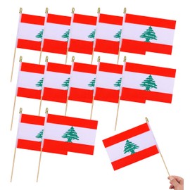 HSQCEZ 12Pcs Small Lebanon Flags on Wooden Stick Mini Lebanese Flag Hand Held Flag Decorations,5x8 Inch