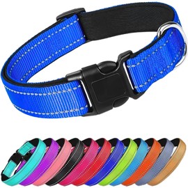 Collar Reflejante para Perro y Gato, Diseño Cómodo, Resistente. Ideal para Mascotas. Reflective. (Extra Grande, Morado)