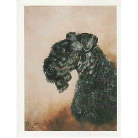 Kerry Blue Terrier Portrait Notecard Set - 12 Note Cards By Ruth Maystead