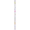 San-X Sumikko Gurashi Kakata Pencil 2B, 1 Dozen PH22502