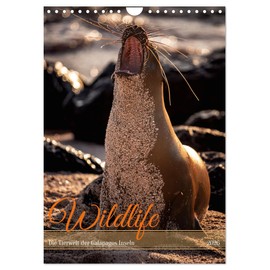 Wildlife - Die Tierwelt der Galapagos Inseln (Wandkalender 2026 DIN A4 hoch), CALVENDO Monatskalender