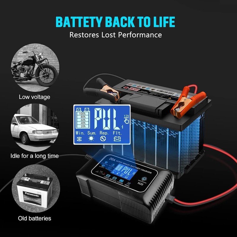 Battery Charger 0-20A 12V and 24V Lithium, LiFePo4, Lead Acid