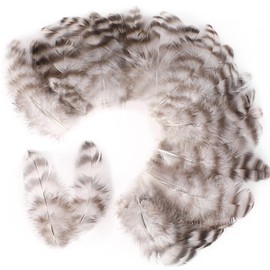 Soarer Natural Chinchilla Coque Feathers - 300pcs 3-5inch Craft Feathers for Dream Catcher Supplies, Home Party, Hats and Jewelry Accessories and DIY Crafts(Chinchilla)