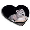 1 x Heart MDF Magnets - Cute Husky Dog Puppy