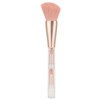 4 in 1 Makeup Brush Simple Elegant Portable Transparent Handle