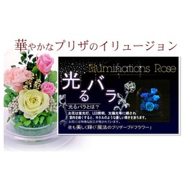 ArtFour Season Half "Glowing Rose" Firefly Preserved Flowers