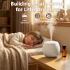 Essential Oil Diffuser, Small Ultrasonic Aromatherapy Diffuser with Auto-Off Function,