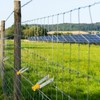Tondiamo Chain Link Insulator Electric Fence Stainless Steel Insulator T