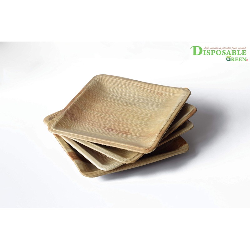 DISPOSABLE GREEN® | 20 X 20 CM Square Plates |
