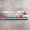 VORTEXKEYBOARD Multix TKL, Spring(Pink), Cherry Profile Double Shot keycap, Hot