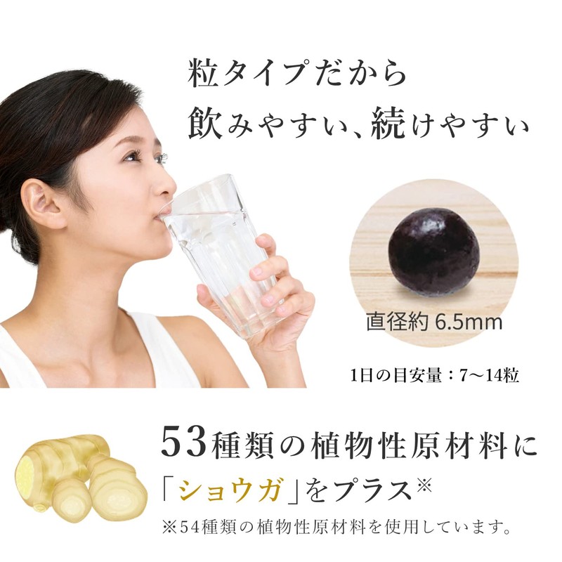 【公式】万田酵素 GINGER ジンジャー 粒タイプ 分包 7粒 × 60包 (約 2ヶ月分)