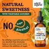 Wild & Organic Stinging Nettle Leaf Extract Drops - Urinary