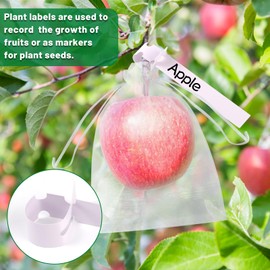 Gushu 100pcs Fruit Protection Bags, 6 x 8 Inch White Fruit Netting Cover Bags with 100pcs Plant Label Drawstring Mesh Fruit Protectors Pest Barrier for Plant Fruit Vegetable Veggies Garden