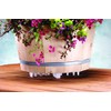 Bosmere Down Under Plant Stand,12", Clear