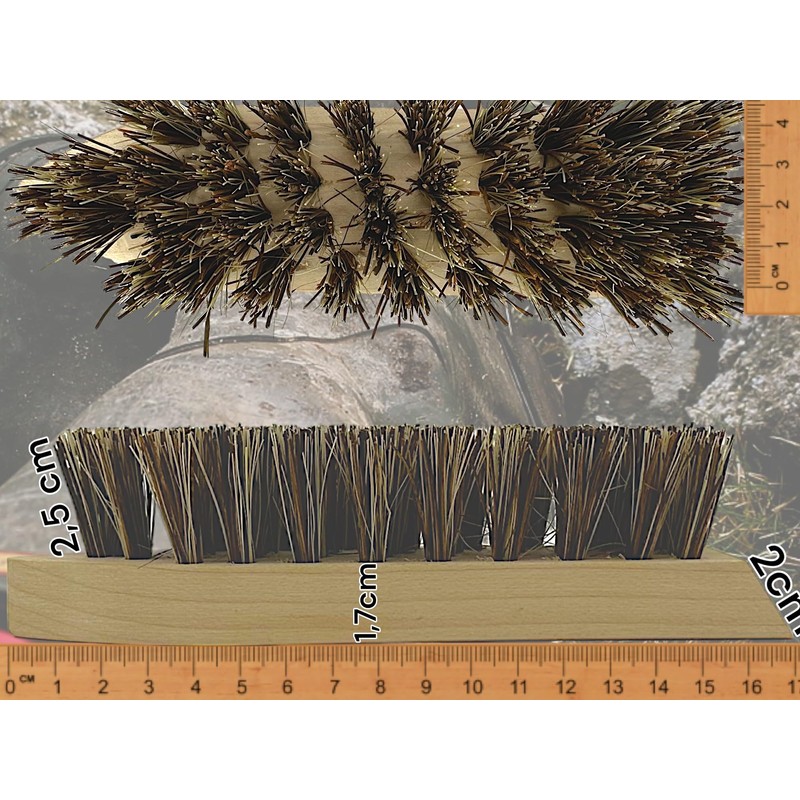 8-Piece XL Shoe Cleaning Set Application Brush + Polishing Brush