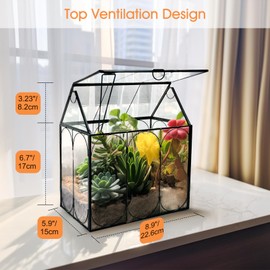 Plant Terrarium Kit, Rifny Large Glass Terrarium Jar with Absorbent Mat for Venus Fly Trap Succulent Live Air Plants Indoor Home Office Decor (Black, 8.9 x 5.9 x 9.9 inch, Without Plant Light)