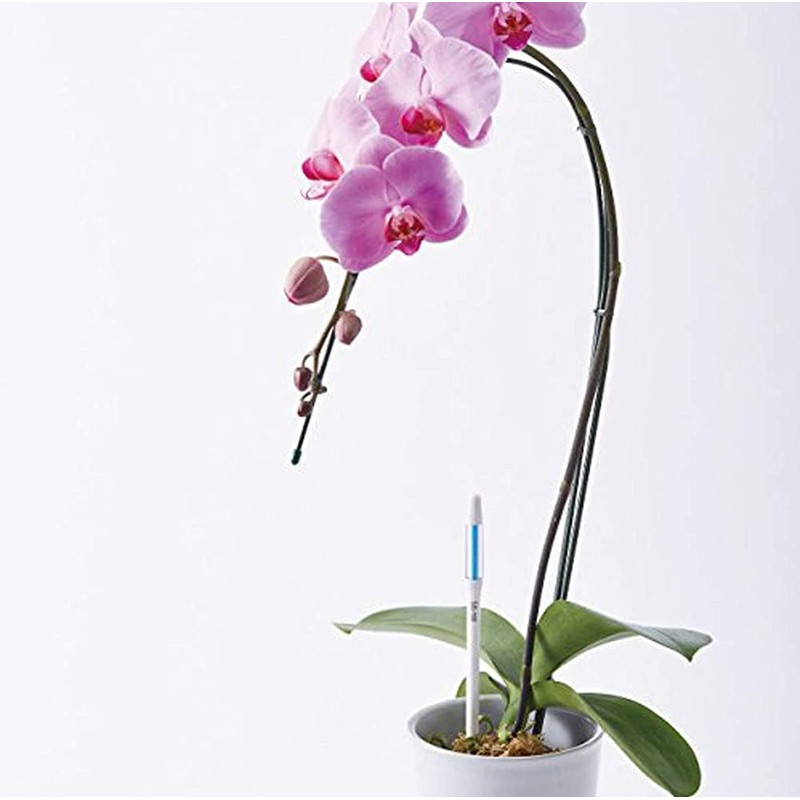 IPPINKA Sustee Aquameter - Bundle of 24 - House Plant