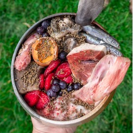 GWF Nutrition Raw Aid Supplement for Cats & Dogs 500gm