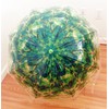 Clear Bubble Umbrella, Green Clear Umbrella, Auto Clear Umbrella, Dome